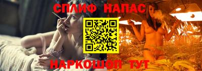 бошки Тара