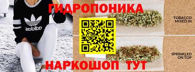 jwh Татарск