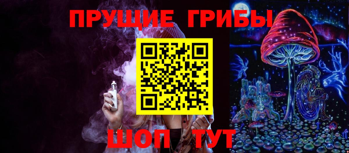 Псилоцибиновые грибы прущие грибы Новороссийск