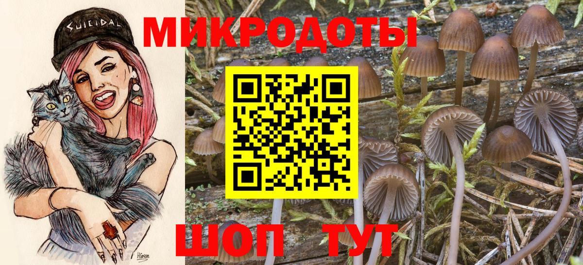 Новороссийск  Псилоцибиновые грибы Magic Shrooms  Вход с VPN 